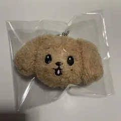 SEVENTEEN MINITEEN ドギョム ぬいぐるみ キーホルダー
