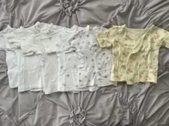 Item thumbnail for item c8cf9493-b85f-4fe4-a9cf-d81b2c86d177