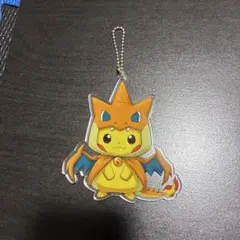 メガリザードン XY ピカチュウ ぬいぐるみ ポンチョを着たピカチュウ