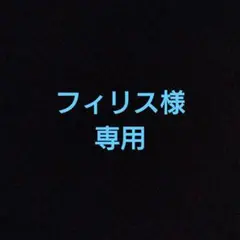 アクセサリー