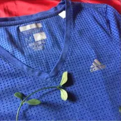 adidas  Tシャツ AEROKNIT  レディス Mサイズ！即購入OK！