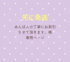 あんぱん☆丁寧にお取引させて頂きます。様専用ページ 水引 パーツ
