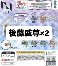 ini みてコレ! 後藤威尊 2個セット
