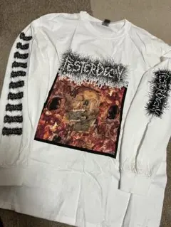 Festerdecay デスメタル　ゴアグラインド　ロンT　L 袖プリントあり