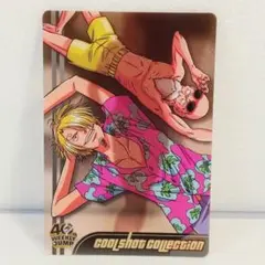 H*O様 ジャンプ40周年 ドラゴンボール ワンピース カード サンジ & 亀仙
