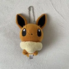 ポケモンセンター もっちりマスコット ポケモンドールズ イーブイ 2017年