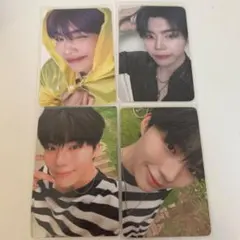 ゴヌク　トレカ　zb1