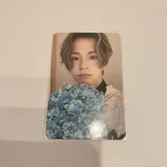 treasure アサヒ ナイトガーデン