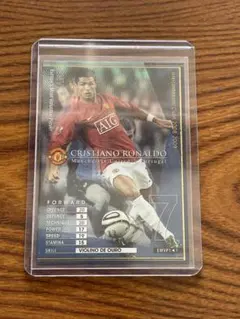 アカシア様 リクエスト 2点 まとめ商品