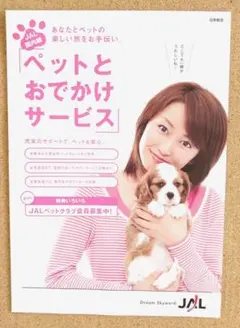 20年前 JAL日本航空 矢田亜希子さん チラシ - メルカリ