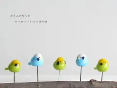 ガラスの待ち針/セキセイインコ