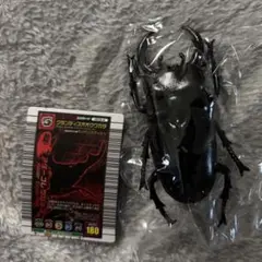 ムシキング グランディスオオクワガタ 2003SPRING 春 青キラ 学名白 ムシキング グランディスオオクワガタ 2003SPRING 春 青キラ