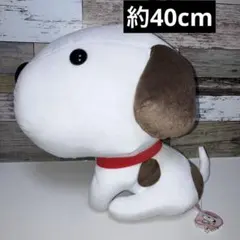 2025年最新】リトルチャロ ぬいぐるみの人気アイテム - メルカリ