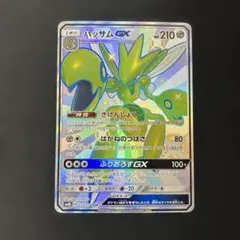 ハッサムGX ssr 233/150のサムネイル