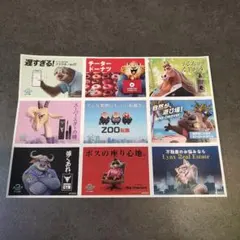 ズートピア ステッカー シール