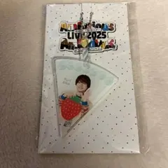 2026年最新】ambitious アクキーの人気アイテム - メルカリ