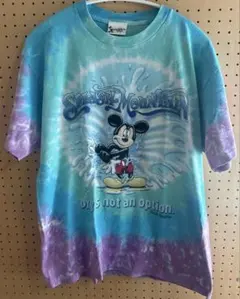 ディズニー スプラッシュマウンテン Tシャツ ポスターデザイン 90s