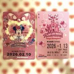 ミニーのファンダーランド パルパルーザ フリーきっぷ　ディズニー
