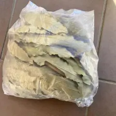 Item thumbnail for item 116c5a0e-58f2-47cd-a7ed-0708ad6252d6