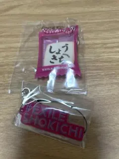 EXILE THE SECOND SHOKICHI 会場限定ガチャ