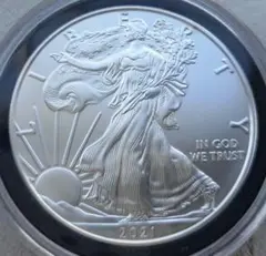 1993 ウォーキングリバティ 銀貨 1オンス ハードケース付き 1993 ウォーキングリバティ 銀貨 1オンス ハードケース付き 銀貨