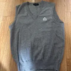 EALZIPのグレーのVネックニットベストです