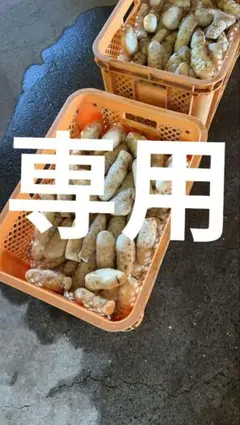 ★masa様専用★　やまと芋　大きめ　デコボコ　10kg　新物　多古町