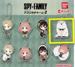 スパイファミリー カプセルトイ