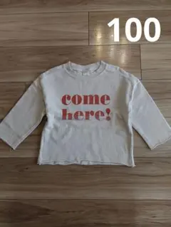 テータテート　バースデイ　グレー　長袖カットソー 薄手トレーナー　100