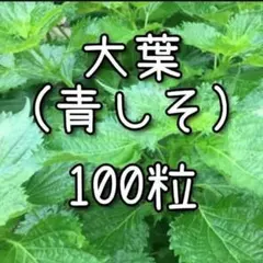 チェコ様 リクエスト 2点 まとめ商品