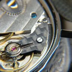 CAMPAGNOLO RECORD 前後ハブセット 36H 美品 ピスト - メルカリ