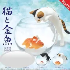 狂次郎様 リクエスト 2点 まとめ商品