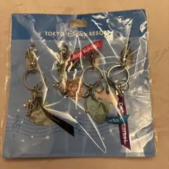 東京ディズニーリゾートキーチェーンセット Disney
