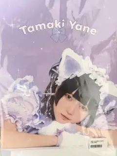 環やね ZINE　生誕