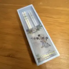 東京ディズニーリゾート 箸 2膳セット