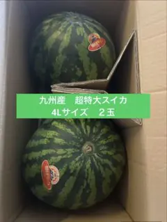 お得な2玉入り栽培50年西瓜農家直送鮮度抜群西瓜の匠厳選某ブランド西瓜/4L2玉 お得な2玉入り栽培50年西瓜農家直送鮮度抜群西瓜の匠厳選某ブランド