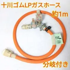 Item thumbnail for item 6ae1b332-3e8c-497e-8ccc-16edda1fb91a