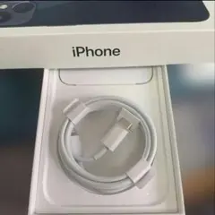Apple iPhone純正品 タイプCライトニングケーブル