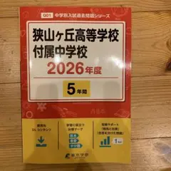 Item thumbnail for item 068bd52f-1f98-42d4-a89e-18c14284022f