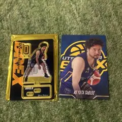 田伏勇太 スタンドポップ 宇都宮ブレックス