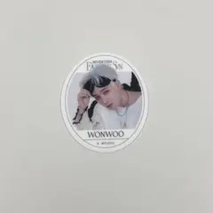 SEVENTEEN グミ ウォヌ ステッカー