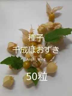 sakurasakura699様 リクエスト 2点 まとめ商品