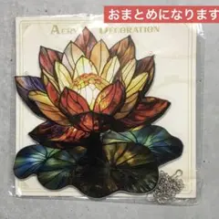 水蓮様 おまとめ分になります