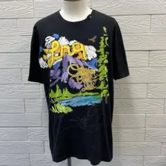 LRGエルアールジー 半袖Tシャツメンズ