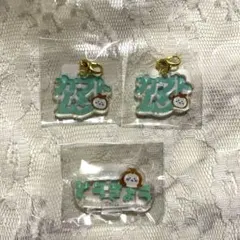 新品未使用未開封　東京みやげ　おなまえアクリルチャームミニ！アクスタ　ちいかぶ