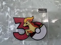 ポケモン30周年 マグネット アチャモ 中国ポケセン限定 - メルカリ