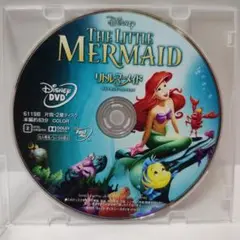 リトル・マーメイドDVD ディズニーアニメスタジオジブリDisneyランドシー
