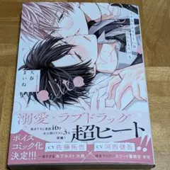 イケないエリートΩは淫らにとろける