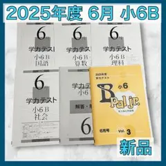 育伸社 学力テスト 2025年 6月 小6 B 解答解説 国語 算数 社会 理科