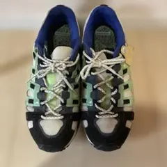 PUMA サンクアンズ　29cm